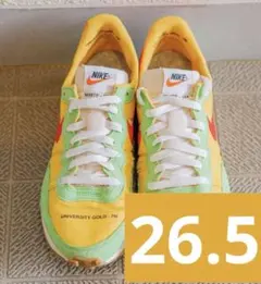 【美品】ナイキ チャレンジャー UNIVERSITY GOLD 761