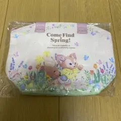 東京ディズニーシー ダッフィー&フレンズ スーベニア ランチケース