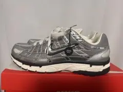 NIKE P-6000 METALLIC SILVER 26.0cm