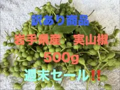 天然 山椒の実 採りたて 青森産 - メルカリ