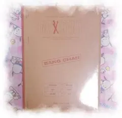 ⑅﻿即購入️⭕️／ スキズ バンチャン MAXIDENT CASE ver 新品