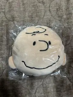 スヌーピー チャーリーブラウン 定期入れ、リール付きポーチ 雑誌付録