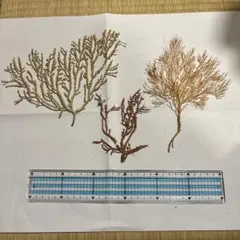 まっつん様 リクエスト 5点 まとめ商品