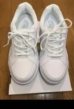 Item thumbnail for item 9948061c-7409-4949-bd29-6d3d365c73d0