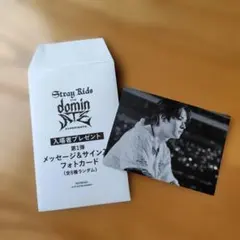 StrayKids　スキズ　映画入場特典　リノ