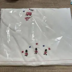 Item thumbnail for item 86f2d82c-e90f-4a25-b415-3c8d86f0a862