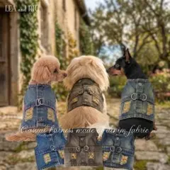 洋服の様なハーネス XS～XLサイズ 小型犬 ハーネス DDO39 40 41