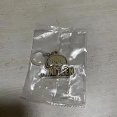 MINITEEN ミニティーン ぷっくりめじるしアクセサリー ドギョム DOA