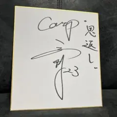 非売品 2023年 広島東洋カープ 選手会 直筆サイン パネル 寄せ書き 非売品 2023年 広島東洋カープ 選手会 直筆サイン パネル