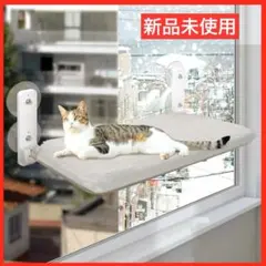 Item thumbnail for item b950bb01-41c5-4d3c-992e-55fa757e1537