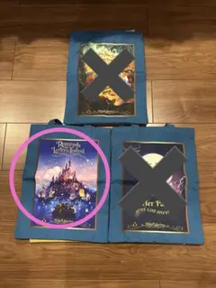 ファンタジースプリングス　トートバッグ　ラプンツェル