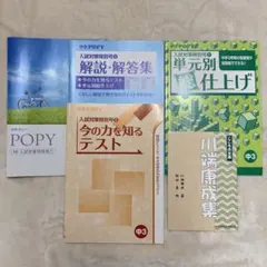 Item thumbnail for item db71d3c2-216e-4c2a-ab82-f81e1799a651