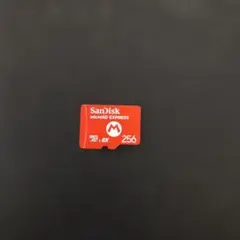 SanDisk microSD EXPRESS 256GB