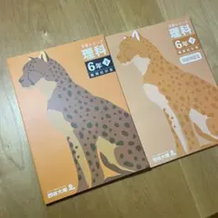 コロコロ様 リクエスト 3点 まとめ商品