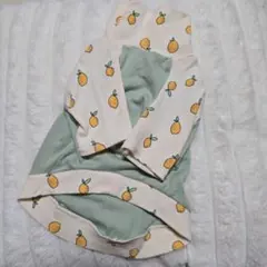 Item thumbnail for item 233434cf-dde1-4bfb-9872-d4305aabb12a