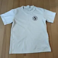 Item thumbnail for item 0b318911-c101-454a-a253-c7e61646f880