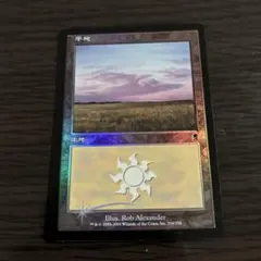 APAC1 plains 平地 mtg 基本土地 ひまわり - メルカリ