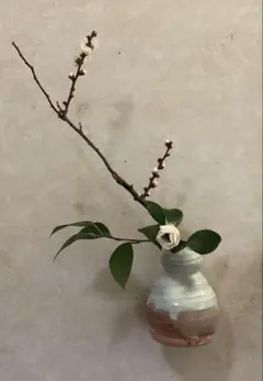 2026年最新】瓢 花入の人気アイテム - メルカリ