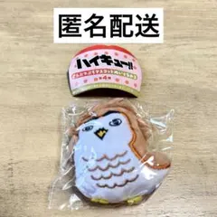 2026年最新】赤葦フクロウマスコットの人気アイテム - メルカリ