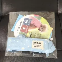 Item thumbnail for item 258fae58-ebf0-4ef3-8bcc-d10c4bc6f8e1