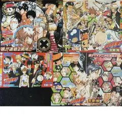 REBORN リボーン　扉絵　カラー　人気キャラ投票