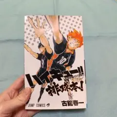 ハイキュー!! コンプリートガイドブック 排球本!