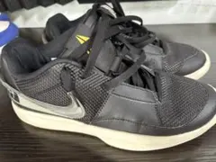Nike Ja1 “smoke”