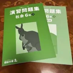 みみみ様 リクエスト 2点 まとめ商品