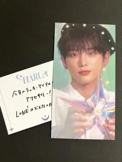 匿名◆HARUA &TEAMCAFE チケットカード　運勢カード　セット