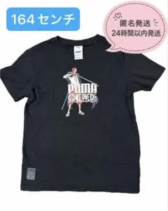 美品 PUMA ONE PIECE コラボ シャンクス Tシャツ 164cm