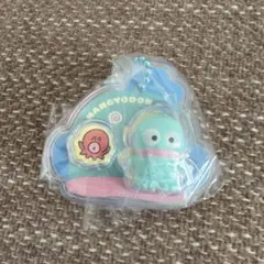 サンリオ　パッケージチャーム　ハンギョドン