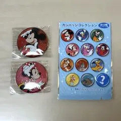ディズニー 缶バッジ ミッキー ミニー