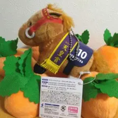競走馬アグネスデジタルぬいぐるみ 競走馬アグネスデジタルぬいぐるみ Amazon.co.jp: 稀少品