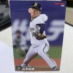 Item thumbnail for item 81aa2fbd-3569-4ea3-97ab-d0def985a8e8