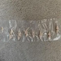 Item thumbnail for item c0ab494a-0e25-44d7-ae70-2e0e450496fd