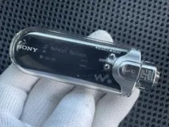 Item thumbnail for item 7011e5ed-5a91-4d85-9394-2ad5e3671630