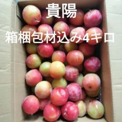 小玉のみ貴陽　箱梱包材込み4キロのサムネイル