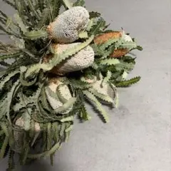 けぃちゃん様 リクエスト 2点 まとめ商品