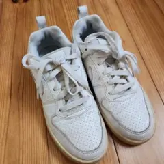 Item thumbnail for item 1c450630-76c1-49e5-a160-c8fd17689c27