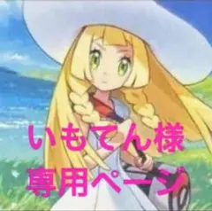 いもてん様　専用ページ　まとめ売り