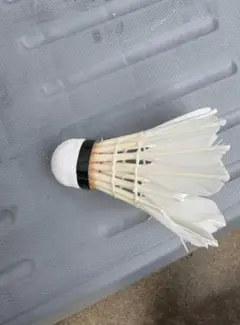 Item thumbnail for item 97b8fe2d-466a-4525-aec1-088c40101a2a