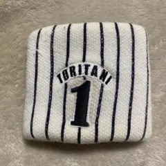 Item thumbnail for item 3db935cf-3109-4ede-a15b-2d2522f261c1