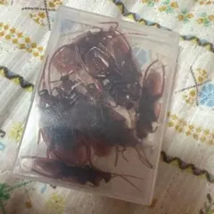 ゴキブリのいたずら用おもちゃ