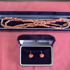 珊瑚アクセサリー(ネックレス・イヤリング)