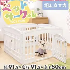 リヤドロ（ナオ）レインコートの中で雨宿りの犬お値下げ不可 - メルカリ