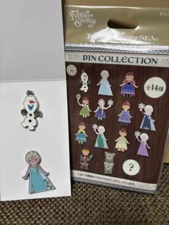 ディズニーリゾート ピンバッジ