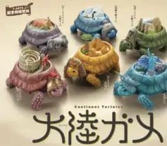 大陸ガメ カプセルトイ ガチャガチャフィギュアコレクション限定品亀好き3つセット