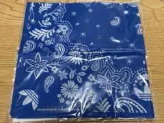 Item thumbnail for item 243a6461-7f36-4905-8a9a-b54499439c92