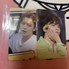 バーノン リパケ