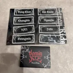 straykids スキズ ワッペン トレカ アプグレ特典